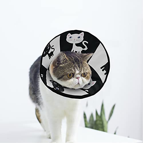 MCHIVER Weiches Katzen- und Hundehalsband zur Erholung von Katzen und Hunden mit Kegel, verstellbar, zur Wundheilung nach Operationen von MCHIVER