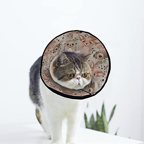 MCHIVER Woodland Animals Soft Cat Dog Recovery Collar Adjustable Cat Cone Wundheilung Protective After Operation for Puppy Cone After Operation von MCHIVER