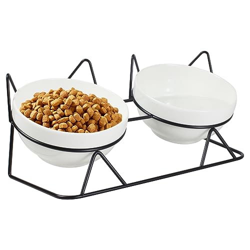 Erhöhte geneigte Katzennäpfe für Indoor-Katzen, erhöhter Keramik-Katzennapf um 15 °, Futternäpfe für Futter und Wasser, Anti-Erbrechen (doppelte Keramiknäpfe und Kippregal), geeignet für alle von MCSAPIL