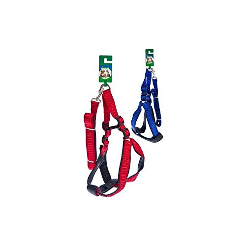 Harness Hund farblich Sortiert, MCT Tiere Harness Hund farblich Sortiert, MCT Tiere von MCT MASCOTAS