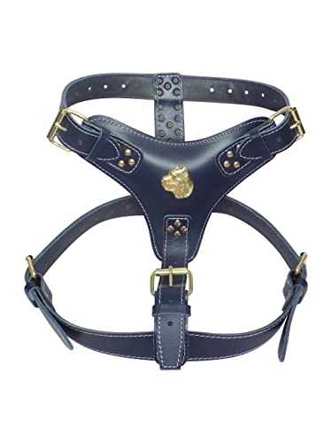 Hundegeschirr, extra groß, strapazierfähig, Leder, Marineblau mit einzigartigem Goldrohr-Corso-Kopf-Motiv und goldfarbenen Beschlägen von MD Gear