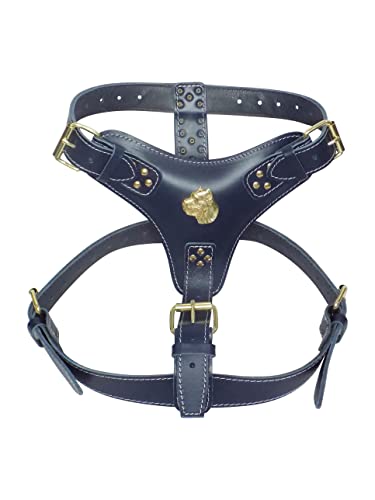 Hundegeschirr, extra groß, strapazierfähig, Leder, Marineblau mit einzigartigem Goldrohr-Corso-Kopf-Motiv und goldfarbenen Beschlägen, Hundezubehör Hundegeschirr, extra groß, strapazierfähig, Leder, Marineblau mit einzigartigem Goldrohr-Corso-Kopf-Motiv und goldfarbenen Beschlägen, Hundezubehör von MD Gear