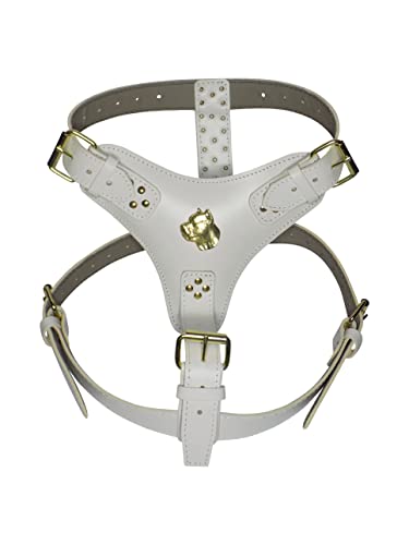 Hundegeschirr, extra groß, strapazierfähig, Leder, mit einzigartigem goldfarbenem Corso-Kopf-Motiv und goldfarbenen Beschlägen, Weiß von MD Gear