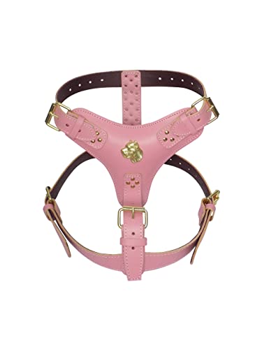 Hundegeschirr, extra groß, strapazierfähig, Leder, mit einzigartigem goldfarbenem Stock-Corso-Kopf-Motiv und goldfarbenen Beschlägen, Rosa Hundegeschirr, extra groß, strapazierfähig, Leder, mit einzigartigem goldfarbenem Stock-Corso-Kopf-Motiv und goldfarbenen Beschlägen, Rosa von MD Gear