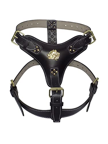 Hundegeschirr, extra groß, strapazierfähig, Leder, mit goldfarbenen Beschlägen und American Bully-Kopf-Motiv, Schwarz Hundegeschirr, extra groß, strapazierfähig, Leder, mit goldfarbenen Beschlägen und American Bully-Kopf-Motiv, Schwarz von MD Gear
