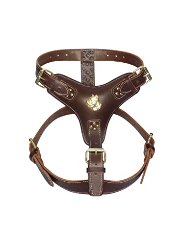 Hundegeschirr, extra groß, strapazierfähig, braunes Leder, mit einzigartigem goldfarbenem Corso-Kopf-Motiv und goldfarbenen Beschlägen Hundegeschirr, extra groß, strapazierfähig, braunes Leder, mit einzigartigem goldfarbenem Corso-Kopf-Motiv und goldfarbenen Beschlägen von MD Gear