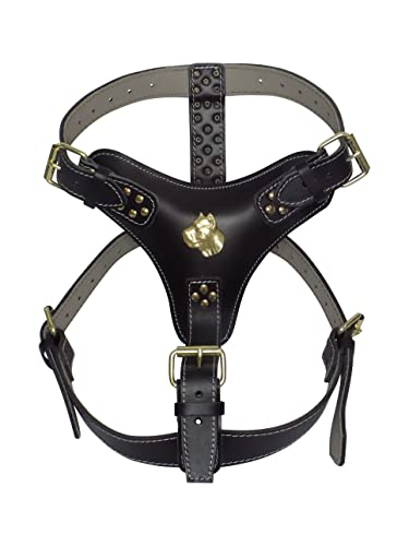 Hundegeschirr, extra groß, strapazierfähig, schwarzes Leder, mit einzigartigem goldfarbenem Corso-Kopf-Motiv und goldfarbenen Beschlägen von MD Gear