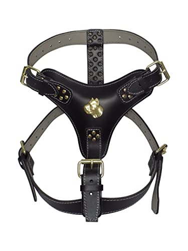 Hundegeschirr, Hund Zubehör, extra groß, strapazierfähig, schwarzes Leder, mit einzigartigem goldfarbenem Corso-Kopf-Motiv und goldfarbenen Beschlägen Hundegeschirr, Hund Zubehör, extra groß, strapazierfähig, schwarzes Leder, mit einzigartigem goldfarbenem Corso-Kopf-Motiv und goldfarbenen Beschlägen von MD Gear