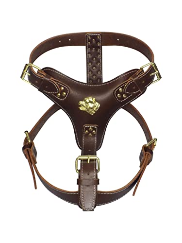 Hundegeschirr, robust, Leder, mit goldfarbenen Beschlägen, Motiv American Bully, Braun Hundegeschirr, robust, Leder, mit goldfarbenen Beschlägen, Motiv American Bully, Braun von MD Gear
