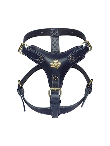 Hundegeschirr, robust, Leder, mit goldfarbenen Beschlägen, Motiv American Bully, Marineblau von MD Gear