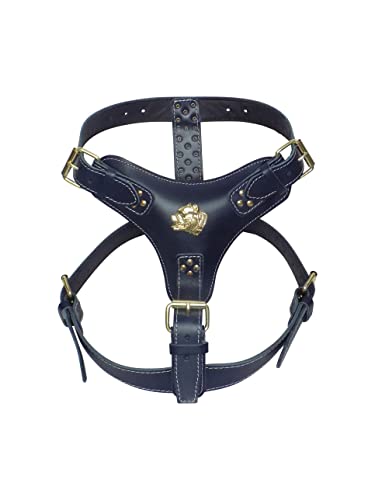 Hundegeschirr, robust, Leder, mit goldfarbenen Beschlägen, Motiv American Bully, Marineblau Hundegeschirr, robust, Leder, mit goldfarbenen Beschlägen, Motiv American Bully, Marineblau von MD Gear