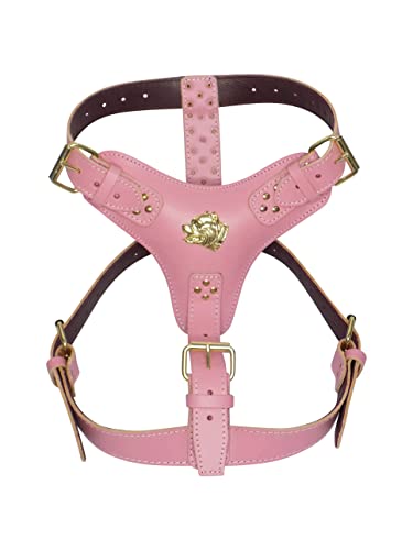 Hundegeschirr, robust, Leder, mit goldfarbenen Beschlägen, Motiv American Bully, Rosa Hundegeschirr, robust, Leder, mit goldfarbenen Beschlägen, Motiv American Bully, Rosa von MD Gear
