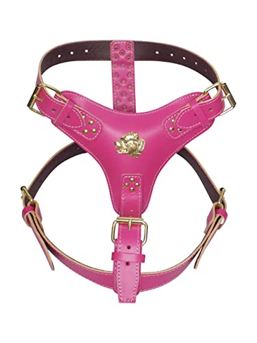 Hundegeschirr, robust, Leder, mit goldfarbenen Beschlägen und Motiv "American Bully", extra groß, Dunkelrosa Hundegeschirr, robust, Leder, mit goldfarbenen Beschlägen und Motiv "American Bully", extra groß, Dunkelrosa von MD Gear