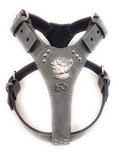 Leather Dog Harness Wunderschönes, graues Design mit Staffordshire Bullterrier Kopf und Knoten von MD Gear
