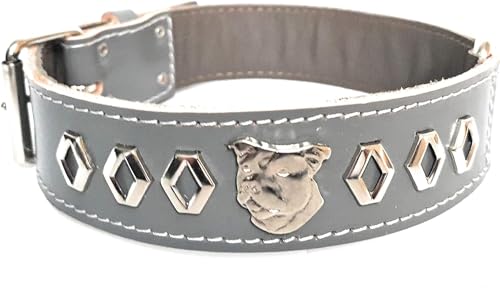 Staffy Hundehalsband aus Leder, mit dekorativem Design und Staffordshire-Bullterrier-Kopf-Motiv, 3,8 cm breit, Größe L: 50,8 cm – 61 cm, Grau Staffy Hundehalsband aus Leder, mit dekorativem Design und Staffordshire-Bullterrier-Kopf-Motiv, 3,8 cm breit, Größe L: 50,8 cm – 61 cm, Grau von MD Gear