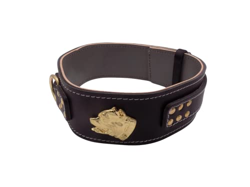 Unique American Bully Hundehalsband, Leder, strapazierfähig, 6,3 cm breit, mit American Bully-Kopf-Motiv, Größe M: 50,8 cm – 63,5 cm, Schwarz Unique American Bully Hundehalsband, Leder, strapazierfähig, 6,3 cm breit, mit American Bully-Kopf-Motiv, Größe M: 50,8 cm – 63,5 cm, Schwarz von MD Gear