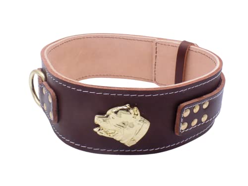 Unique American Bully Hundehalsband, Leder, strapazierfähig, 6,3 cm breit, mit American Bully-Kopf-Motiv (Größe XL: 68,6 cm – 81,3 cm, Braun) von MD Gear