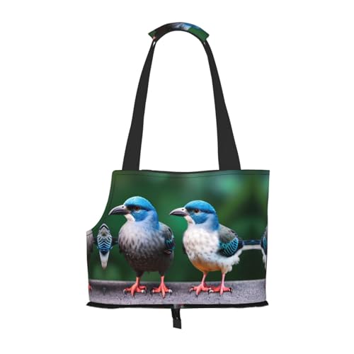 Zwei Vögel drucken Haustier tragbare Umhängetasche, faltbare Haustiertasche 13,4 x 6,1 x 10,2 Zoll für U-Bahn/Einkaufen/Wandern von MDATT
