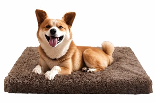Hundebett, Mittel Hundekissen Waschbare, Flauschige Hundematte, Langer Plüsch, Weiche Polsterung, Multifunktional Hundekistenmatratze,Kamelbraun 75x50x8cm Hundebett, Mittel Hundekissen Waschbare, Flauschige Hundematte, Langer Plüsch, Weiche Polsterung, Multifunktional Hundekistenmatratze,Kamelbraun 75x50x8cm von MDDK DY