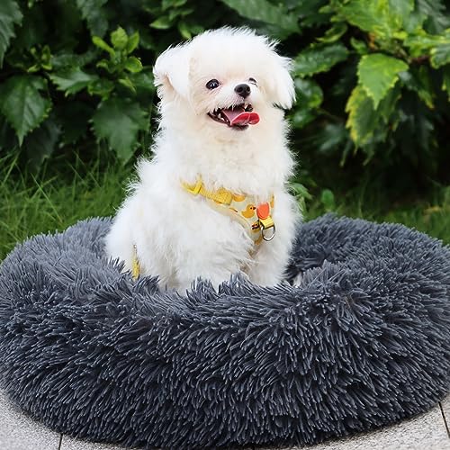 MDDK DY Hundebett,Katzenbett Flauschig,Hundekorb,Waschbar，Hundekissen 60cm，Hundekörbchen Rund aus Plüsch，Hundesofa，Katzenkorb，Hundebett für Kleine, Mittel Große Grosse Hunde Katzen -Dunkelgrau von MDDK DY