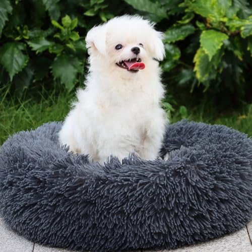 MDDK DY Hundebett,Katzenbett Flauschig,Hundekorb,Waschbar，Hundekissen 50cm，Hundekörbchen Rund aus Plüsch，Hundesofa，Katzenkorb，Hundebett für Kleine Mittel Hunde, Katzen- Dunkelgrau von MDDK DY