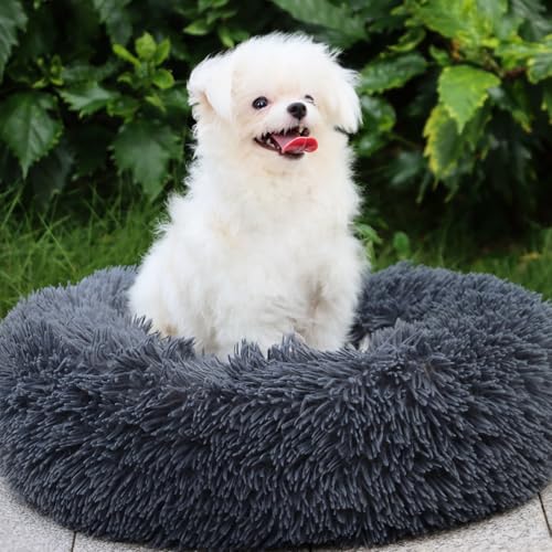 MDDK DY Hundebett,Katzenbett Flauschig,Hundekorb,Waschbar, Hundekissen 50cm, Hundekörbchen Rund aus Plüsch, Hundesofa, Katzenkorb, Hundebett für Kleine Mittel Hunde, Katzen Dunkelgrau von MDDK DY