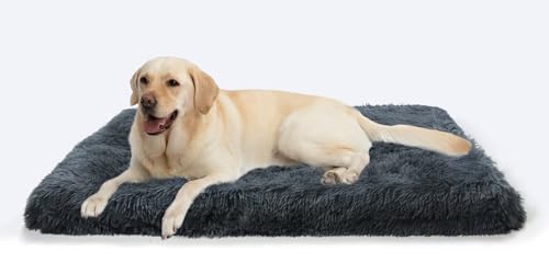 MDDK DY Hundebett, Großes Hundekissen Waschbare, Flauschige Hundematte, Langer Plüsch, weiche Polsterung, Multifunktional Hundekistenmatratze, Dunkelgrau,100x60x10cm MDDK DY Hundebett, Großes Hundekissen Waschbare, Flauschige Hundematte, Langer Plüsch, weiche Polsterung, Multifunktional Hundekistenmatratze, Dunkelgrau,100x60x10cm von MDDK DY