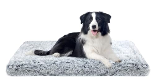 MDDK DY Hundebett, Hundekissen Waschbare, Flauschige Hundematte, Langer Plüsch, Weiche Polsterung, Mittelgroße Hunde,Ombré-Grau,100x60x10cm MDDK DY Hundebett, Hundekissen Waschbare, Flauschige Hundematte, Langer Plüsch, Weiche Polsterung, Mittelgroße Hunde,Ombré-Grau,100x60x10cm von MDDK DY