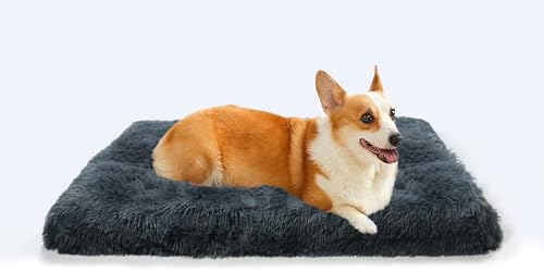 MDDK DY Hundebett, Mittel Hundekissen Waschbare, Flauschige Hundematte, Langer Plüsch, Weiche Polsterung, Multifunktional Hundekistenmatratze, Dunkelgrau,75x50x8cm von MDDK DY