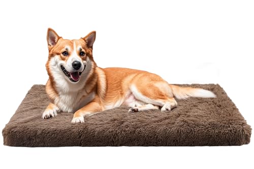MDDK DY Hundebett, Hundekissen Waschbare, Flauschige Hundematte, Langer Plüsch, Weiche Polsterung, Mittelgroße Hunde, Kamelbraun,100x60x10cm von MDDK DY