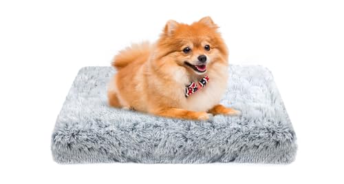 MDDK DY Hundebett, katzenbett, klein Hundekissen Waschbare, Flauschige Hundematte, Langer Plüsch, weiche Polsterung, multifunktional Hundekistenmatratze, Ombré-Grau,50x40x5cm MDDK DY Hundebett, katzenbett, klein Hundekissen Waschbare, Flauschige Hundematte, Langer Plüsch, weiche Polsterung, multifunktional Hundekistenmatratze, Ombré-Grau,50x40x5cm von MDDK DY