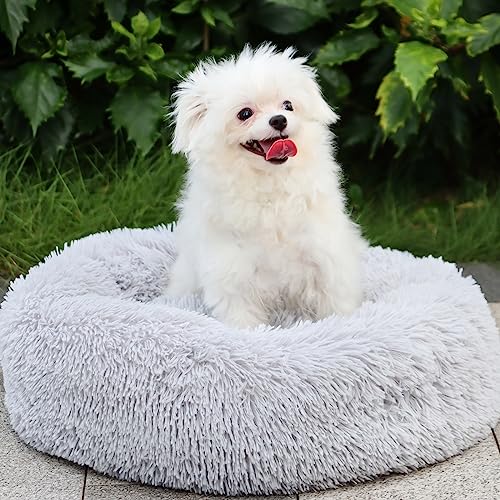 MDDK DY Hundebett Mittelgroße Hunde 70 cm, Katzenbett Flauschig- Plüschiges Rundkissen, Waschbar & rutschfest, Ideal für Mittlere bis Große Hunde und Katzen, Grau von MDDK DY