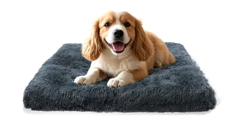 MDDK DY Hundebett, katzenbett, klein Hundekissen Waschbare, Flauschige Hundematte, Langer Plüsch, weiche Polsterung, multifunktional Hundekistenmatratze, Dunkelgrau,50x40x5cm MDDK DY Hundebett, katzenbett, klein Hundekissen Waschbare, Flauschige Hundematte, Langer Plüsch, weiche Polsterung, multifunktional Hundekistenmatratze, Dunkelgrau,50x40x5cm von MDDK DY