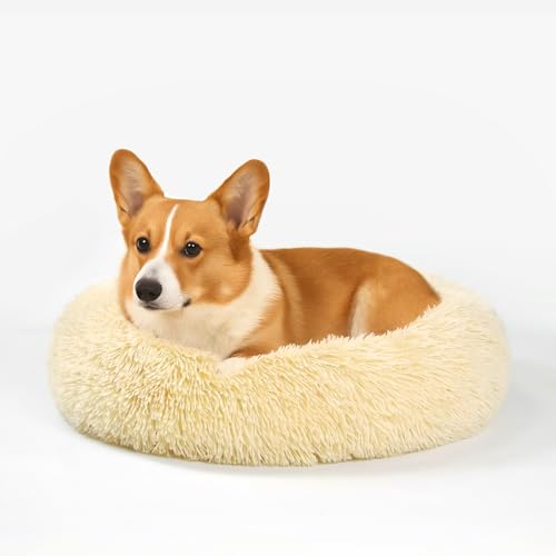 MDDK DY Hundebett Katzenbett - Flauschiger Waschbarer Rundkorb, Donut Kissen, rutschfeste Unterseite, 60 cm, Geeignet für Kleine bis Mittlere Hunde und Katzen, Langer Plüsch, Hellbeige von MDDK DY