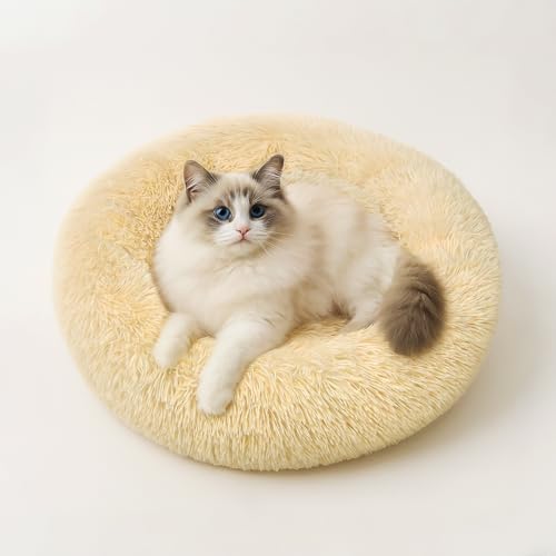 MDDK DY Hundebett Katzenbett - Flauschiges Rundkissen, Waschbar & rutschfest, 50 cm, Ideal für Kleine Hunde und Katzen, Hellbeige von MDDK DY