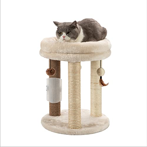 MECOOL 4-in-1 kleiner Kratzbaum mit Turm, weiches Katzenbett, Sisal-Teppich, Jutepfosten mit drei hängenden Ballspielzeugen und Massagebürste für Indoor-Katzen und Kätzchen von MECOOL