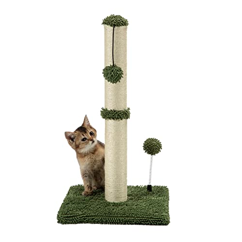 MECOOL Kratzbaum für Katzen, Sisal, 55,9 cm, für Kätzchen oder kleinere Katzen (55,9 cm für Kätzchen, Kaktusgrün) von MECOOL