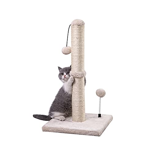 MECOOL Premium Basics Kratzbaum für Kätzchen, Sisal, mit hängendem Ball, 55,9 cm, für Kätzchen oder kleinere Katzen (55,9 cm, für Kätzchen, Beige) von MECOOL