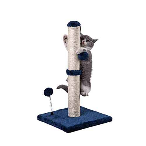 MECOOL Premium Basics Kratzbaum für Kätzchen, Sisal, mit hängendem Ball, 55,9 cm, für Kätzchen oder kleinere Katzen (55,9 cm, für Kätzchen, Marineblau) von MECOOL