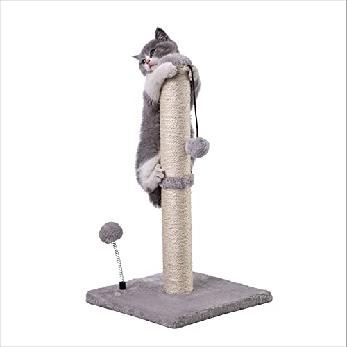 MECOOL Premium Basics Kratzbaum für Kätzchen, Sisal, mit hängendem Ball, 55,9 cm, für Kätzchen oder kleinere Katzen (55,9 cm, für Kätzchen, grau) von MECOOL