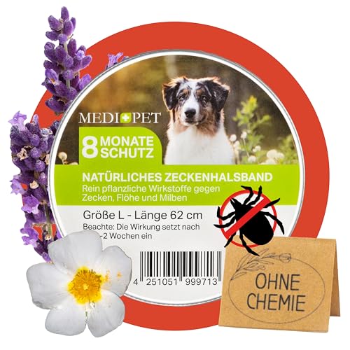 MEDIDOG Natürliches Zeckenhalsband – 8 Monate Schutz vor Zecken, Flöhe und Milben, für kleine Hunde & Katzen – mit Zistrose- & Lavendelöl – ohne Chemie von MEDIDOG