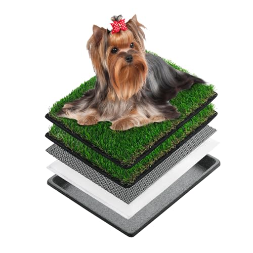 MEEXPAWS Extra Kleine Hundetoilette aus Kunstrasen mit Tablett (44×34 cm) – Hundeklo für Wohnung & Drinnen – 2 Robuste Gras-Ersatzsets & 2 Pisspads – Schnelle Drainage von MEEXPAWS