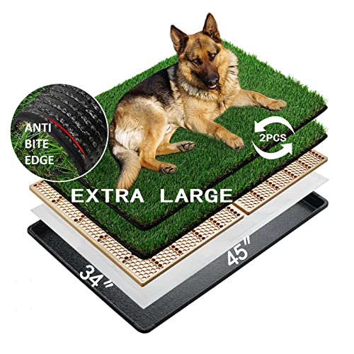 MEEXPAWS Extra große Hundetoilette aus Kunstrasen mit Tablett XL | 114×86 cm|2 Robustes Gras-Ersatzset mit Umlaufendem Rand | Schnelle Drainage |2 Pisspads | Töpfchentraining für den Innenbereich von MEEXPAWS