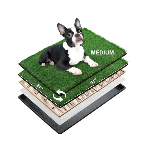 MEEXPAWS Mittelgroß Hundetoilette aus Kunstrasen mit Tablett | 79×53 cm|2 Robustes Gras-Ersatzset| Schnelle Drainage |2 Pisspads | Töpfchentraining für den Innenbereich MEEXPAWS Mittelgroß Hundetoilette aus Kunstrasen mit Tablett | 79×53 cm|2 Robustes Gras-Ersatzset| Schnelle Drainage |2 Pisspads | Töpfchentraining für den Innenbereich von MEEXPAWS