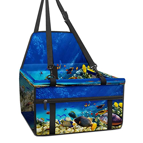 Corals Autositz für Hunde, tropischer Fisch, für kleine Hunde, faltbar, tragbar, mit stabilem PVC-Rahmen, perfekt für kleine Haustiere Corals Autositz für Hunde, tropischer Fisch, für kleine Hunde, faltbar, tragbar, mit stabilem PVC-Rahmen, perfekt für kleine Haustiere von MEHOM