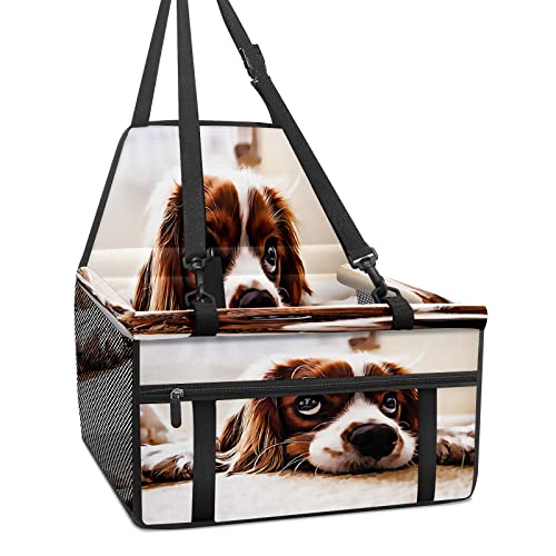 Hundeautositz, lustiger Hundeautositz für kleine Hunde, faltbar, tragbar, mit stabilem PVC-Rahmen, perfekt für kleine Haustiere Hundeautositz, lustiger Hundeautositz für kleine Hunde, faltbar, tragbar, mit stabilem PVC-Rahmen, perfekt für kleine Haustiere von MEHOM