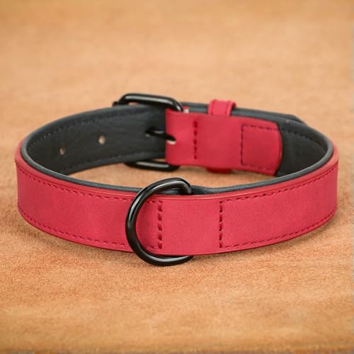 MEIFULLE Großes Hundehalsband, weich gepolstert, langlebiges Echtleder-Halsband für große Hunde, Rottweiler, Labrador, Pitbull von MEIFULLE