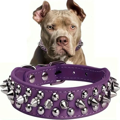MEIFULLE Hochwertiges Hundehalsband mit Spikes und Sportpolsterung mit Nieten – passend für Bulldoggen, Möpse und kleine/mittelgroße/große Hunde von MEIFULLE