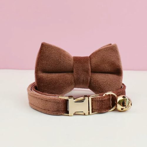 MEIFULLE Katzenbedarf Samt Katzenhalsband Personalisiertes Halsband mit Namensschild Glöckchen Fliege Individuell gravierte Halsbänder für von MEIFULLE