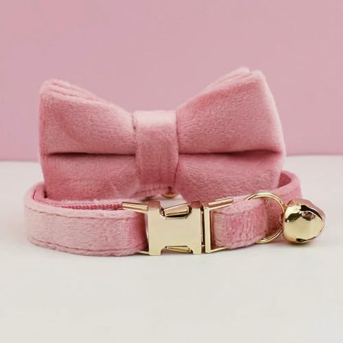 MEIFULLE Katzenbedarf Samt Katzenhalsband Personalisiertes Halsband mit Namensschild Glöckchen Fliege Individuell gravierte Halsbänder für von MEIFULLE